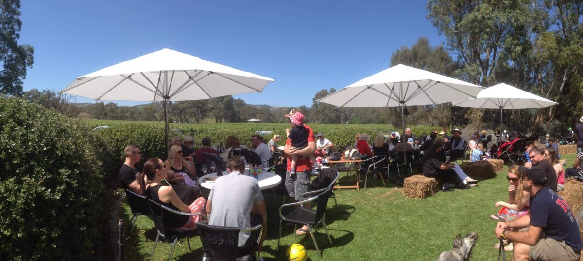 Shottesbrooke Estate Series Pinot Noir 2021 (6 Bottles) McLaren Flat, South Australia - Image 6