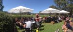 Shottesbrooke Estate Series Pinot Noir 2021 (6 Bottles) McLaren Flat, South Australia - Image 6