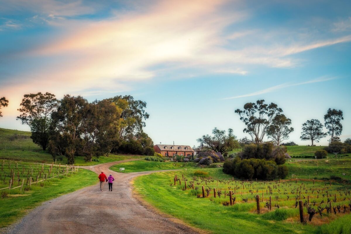 Bethany Wines First Village Chardonnay 2022 (12 Bottles) Barossa Valley - Image 3