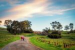 Bethany Wines First Village Chardonnay 2022 (12 Bottles) Barossa Valley - Image 3