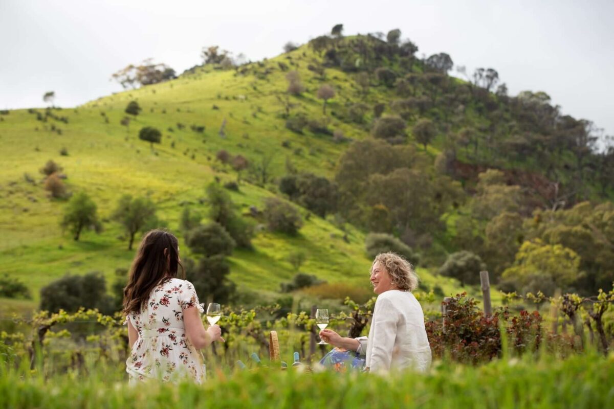 Bethany Wines First Village Chardonnay 2022 (12 Bottles) Barossa Valley - Image 4