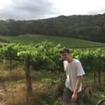 Commune of Buttons Basket Town White Chardonnay 2023 (6 Bottles) Adelaide Hills - Image 3