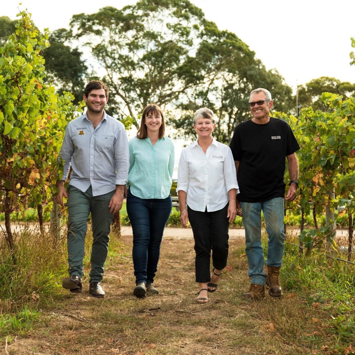Hugo Wines 2021 Shiraz (6 Bottles) McLaren Flat, South Australia - Image 3