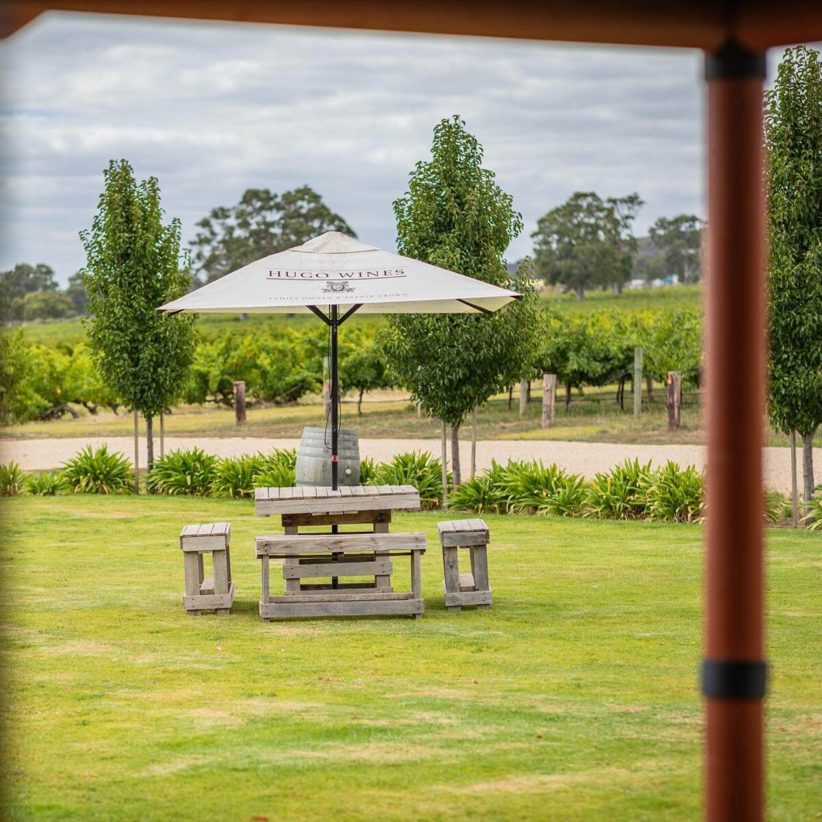 Hugo Wines 2021 Shiraz (6 Bottles) McLaren Flat, South Australia - Image 5