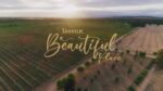 Tahbilk Winery Shiraz Cabernet 2020 (12 Bottles) Nagambie, Victoria - Image 3