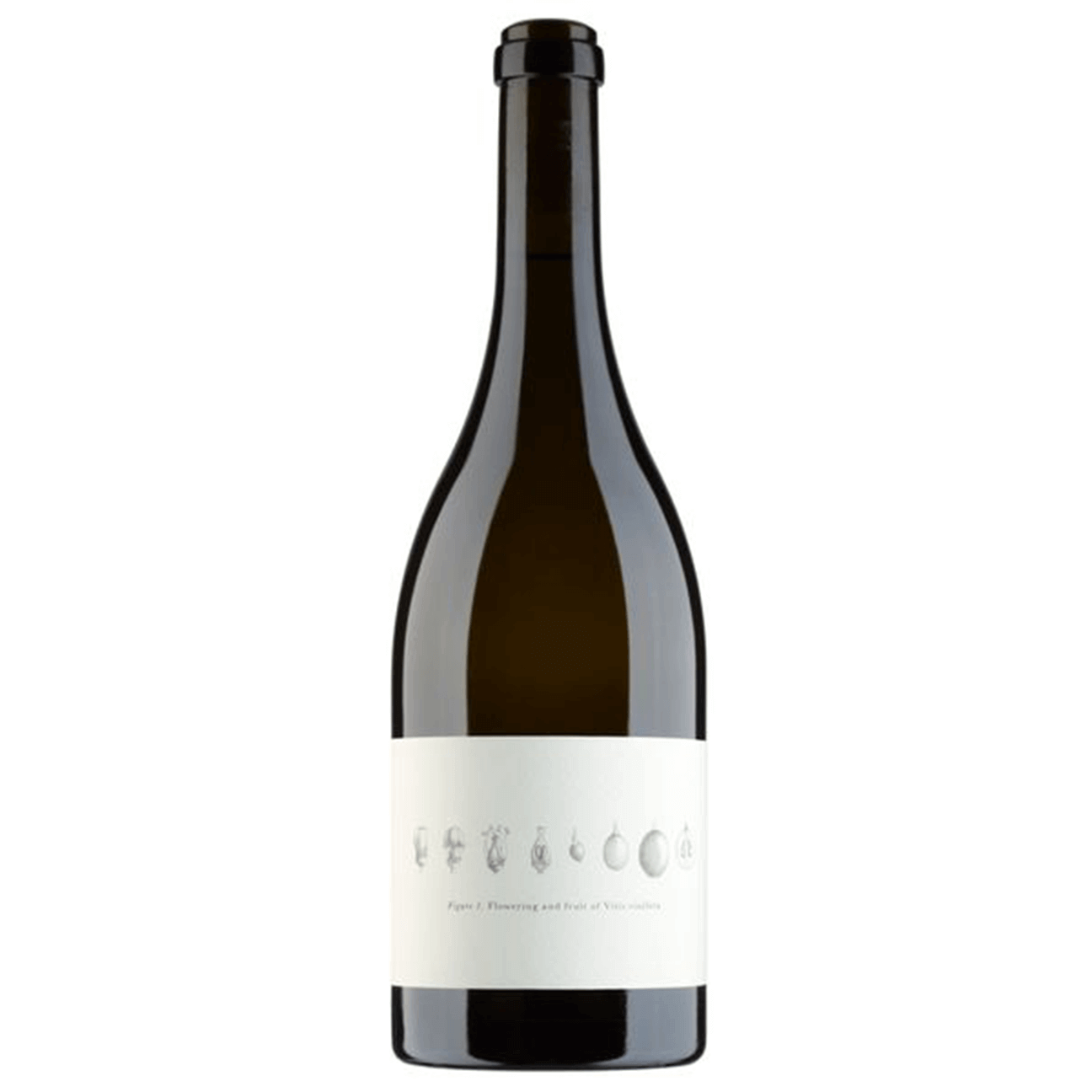 Becker Wines Manchester Vineyard Pinot Noir 2022 (3 Bottles) Pokolbin, Hunter Valley, NSW — Pinot Noir from Pokolbin, Hunter Valley, NSW