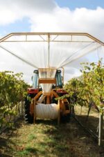 Heathcote Winery Grenache Rosé 2022 (6 Bottles) Heathcote, VIC - Image 5