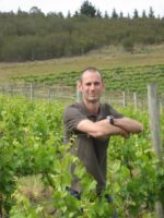 Punch Friends of Punch Pinot Noir (6 Bottles) Yarra Valley - Image 3