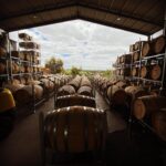 Curtis Family Vineyards Heritage MV Shiraz (12 Bottles) 92 Points McLaren Vale - Image 2