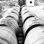 2021 La Petite Vanguard Grenache (12 Bottles) McLaren Vale - Image 3