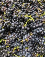 Matanzas Creek Chardonnay 2019 (6 Bottles) Alexander Valley, California - Image 3