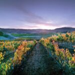 Matanzas Creek Chardonnay 2019 (6 Bottles) Alexander Valley, California - Image 7