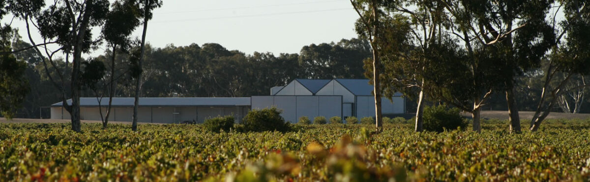 Brothers In Arms Killibinbin Spunky Pinot Grigio 2023 (6 Bottles) Langhorne Creek - Image 2