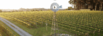 Ten Minutes 10X Barrel Fermented Sauvignon Blanc 2022 (6 Bottles) Mornington Peninsula - Image 2