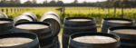 Ten Minutes 10X Barrel Fermented Sauvignon Blanc 2022 (6 Bottles) Mornington Peninsula - Image 4
