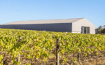 Ten Minutes 10X Barrel Fermented Sauvignon Blanc 2022 (6 Bottles) Mornington Peninsula - Image 6