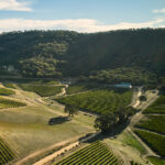 Dalwhinnie ‘Mesa’ Chardonnay 2023 (6 Bottles) Pyrenees, Australia - Image 6