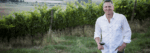 WillaKenzie Estate Willamette Valley Chardonnay 2019 (6 Bottles) Oregon, USA - Image 5