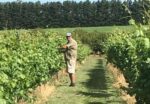 Bell & Gong Pinot Noir 2021 (6 Bottles) Longford, Tasmania - Image 2