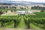 Mayfield 'Backyard' Riesling 2023 (6 Bottles) Orange, New South Wales - Image 3