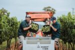 Robert Stein Farm Series Rosé 2023 (12 Bottles) New South Wales - Image 2