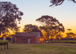Richard Hamilton ‘Ghost Hill’ Shiraz 2020 (6 Bottles) McLaren Vale - Image 2