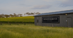 Richard Hamilton ‘Ghost Hill’ Shiraz 2020 (6 Bottles) McLaren Vale - Image 4