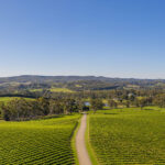 Nepenthe Altitude Tempranillo 2022 (6 Bottles) Adelaide Hills - Image 2