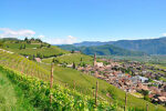 Wilhelm Walch “Prendo” Pinot Grigio 2023 (6 Bottles) Alto Adige, Italy - Image 2