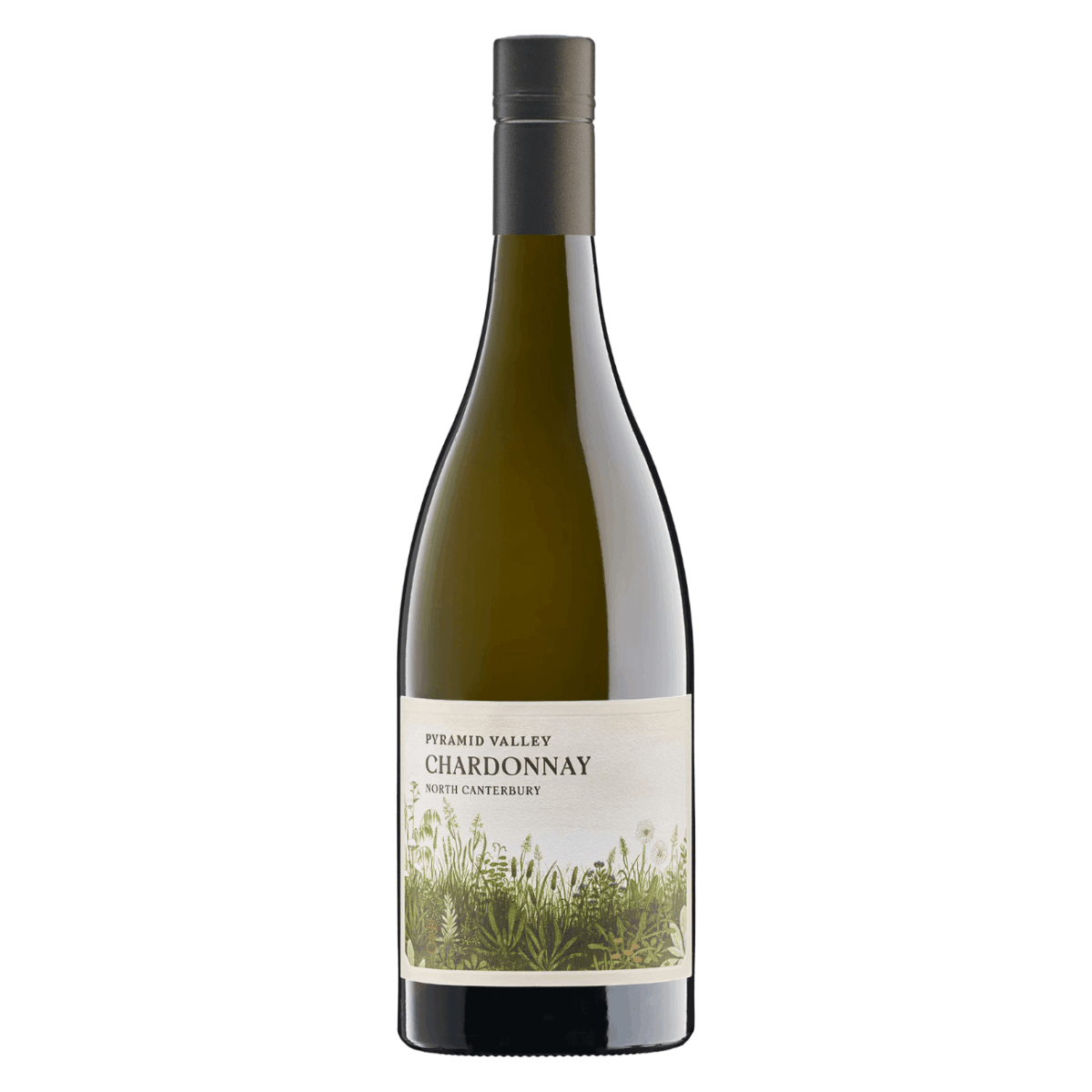 Pyramid Valley North Canterbury Chardonnay 2022 (6 Bottles) New Zealand - Image 1