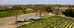 Domaine Naturaliste Rebus Cabernet Sauvignon 2023 (6 Bottles) Margaret River - Image 2