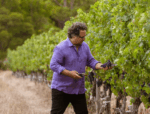 Domaine Naturaliste Rebus Cabernet Sauvignon 2023 (6 Bottles) Margaret River - Image 3