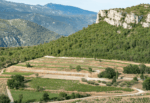 Château de Roquefort Le Bon Vivant Rosé 2020 (6 Bottles) Provence, France - Image 3