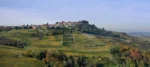 Fratelli Alessandria Dolcetto d'Alba DOC 2019 (6 Bottles) Piedmont, Italy - Image 3