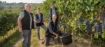 Fratelli Alessandria Dolcetto d'Alba DOC 2019 (6 Bottles) Piedmont, Italy - Image 2