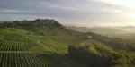 Fratelli Alessandria Dolcetto d'Alba DOC 2019 (6 Bottles) Piedmont, Italy - Image 5