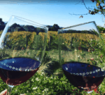 Moorooduc Estate Chardonnay 2023 (6 Bottles) Mornington Peninsula, Victoria - Image 4