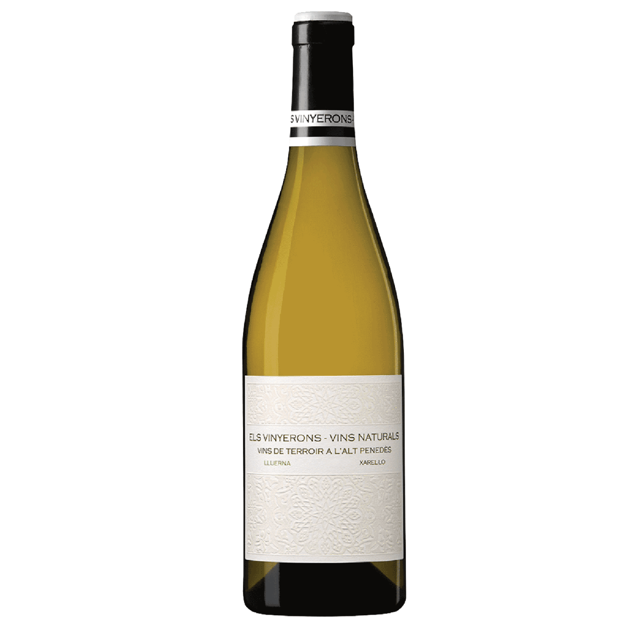Els Vinyerons 'Lluerna' Xarel-lo 2019 Els Vinyerons 'Lluerna' Xarel-lo 2019
