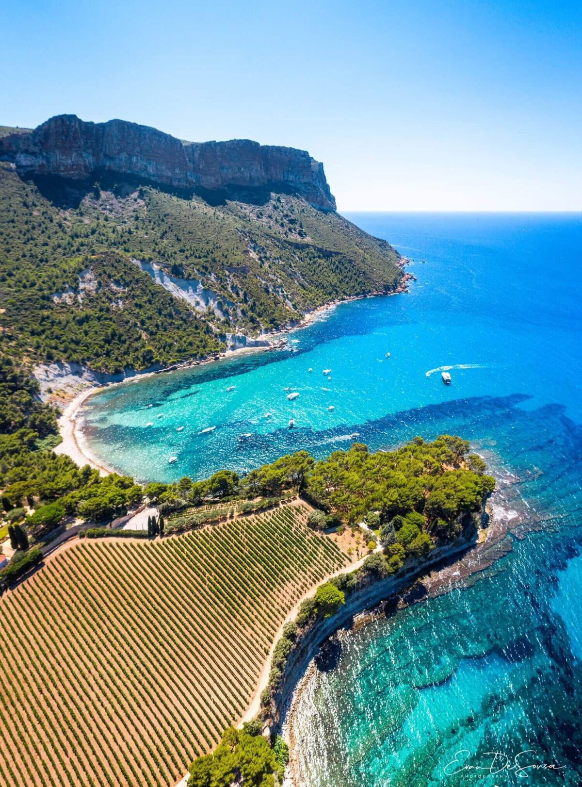 Clos Sainte Magdeleine Côtes de Provence Rosé 2023 (6 Bottles) Calanques National Park - Image 3