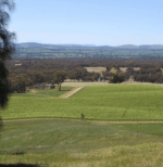 Jackson Brooke Pinot Meunier 2022 (12 Bottles) Victoria - Image 5