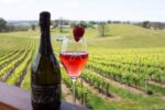 Anderson Hill Rosé 2023 (6 Bottles) Adelaide Hills - Image 8