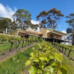Anderson Hill Rosé 2023 (6 Bottles) Adelaide Hills - Image 7