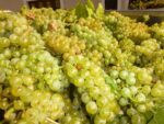 Domaine Servin Les Pargues Chablis 2020 375ml (6 Bottles) France - Image 6