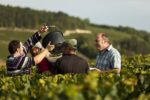 Domaine Servin Les Pargues Chablis 2020 375ml (6 Bottles) France - Image 4