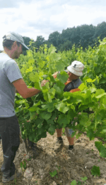 Domaine Bedouet Les Perles St Michel NV (6 Bottles) France - Image 3