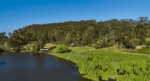 The Lake House He Said She Said Shiraz Cabernet (12 Bottles) Frankland River - Image 2