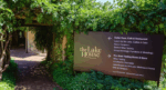 The Lake House He Said She Said Shiraz Cabernet (12 Bottles) Frankland River - Image 3