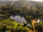 The Lake House He Said She Said Shiraz Cabernet (12 Bottles) Frankland River - Image 4