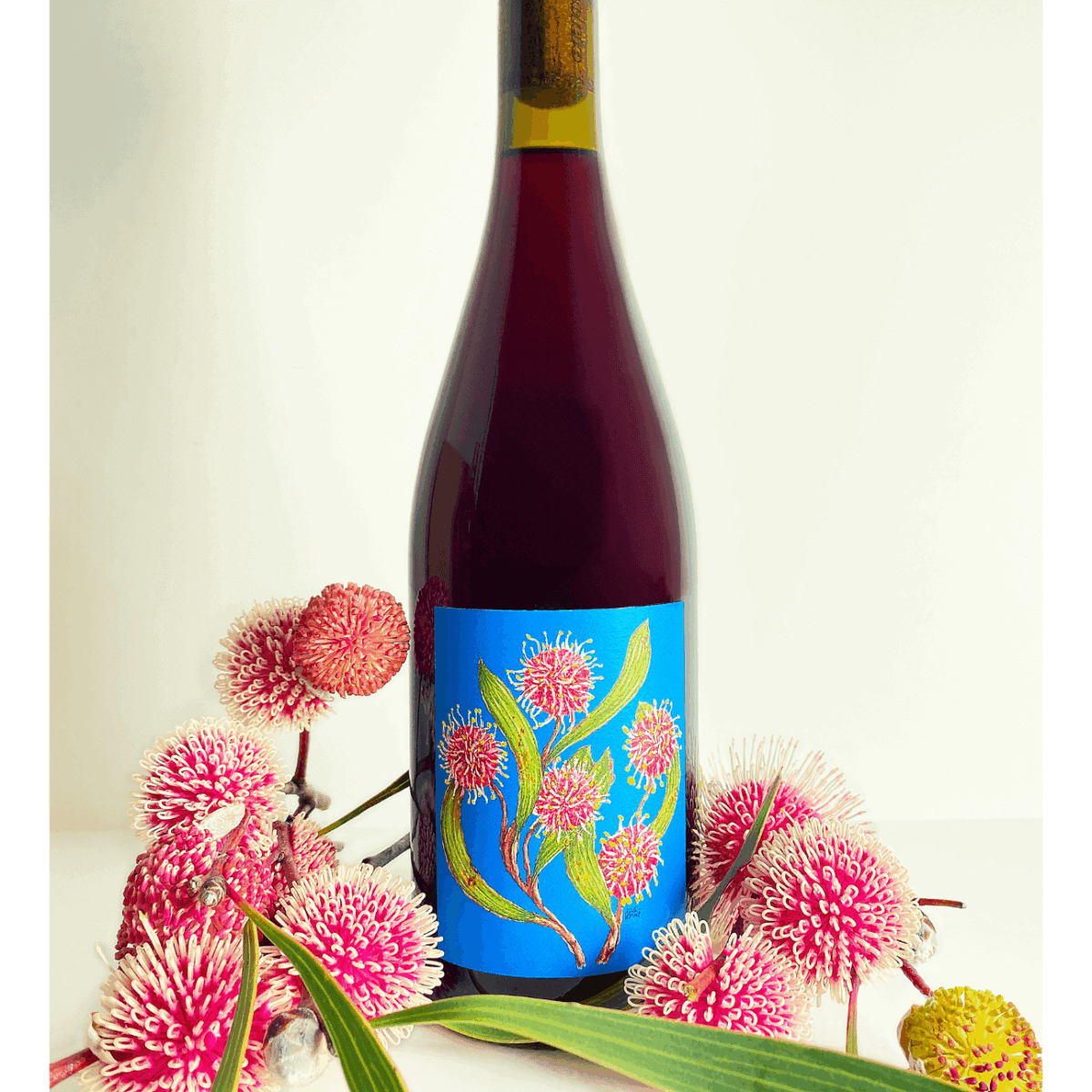 Borachio Garnaxa 2024(12 Bottles) Adelaide Hills - Image 1
