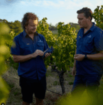 Deep Woods Reserve Chardonnay 2023 (6 Bottles) Margaret River - Image 4